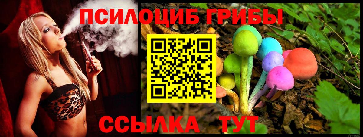 Новокуйбышевск  дарнет шоп  Вход с VPN  Псилоцибиновые грибы прущие грибы 